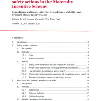 Read more: THIS Institute Maternity Incentive Scheme Quantitative Report